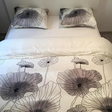 Hostel Orion Krakkó