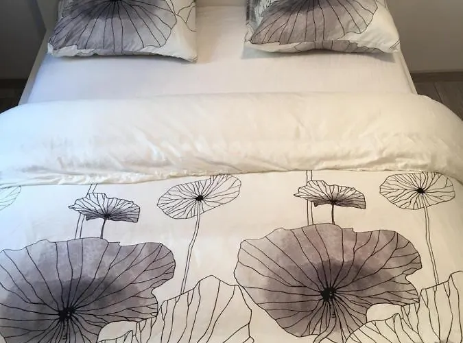 Hostel Orion Krakkó